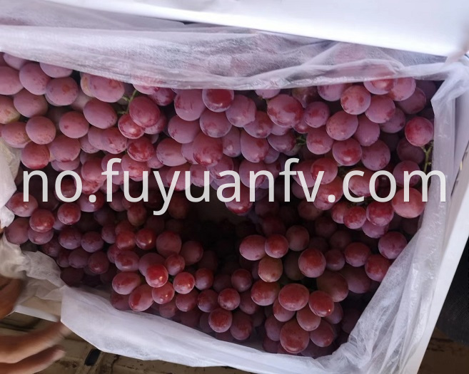  Fresh Red Grape